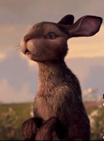 La Colina De Watership - T1 C4